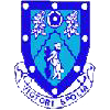Logo Rugby Town